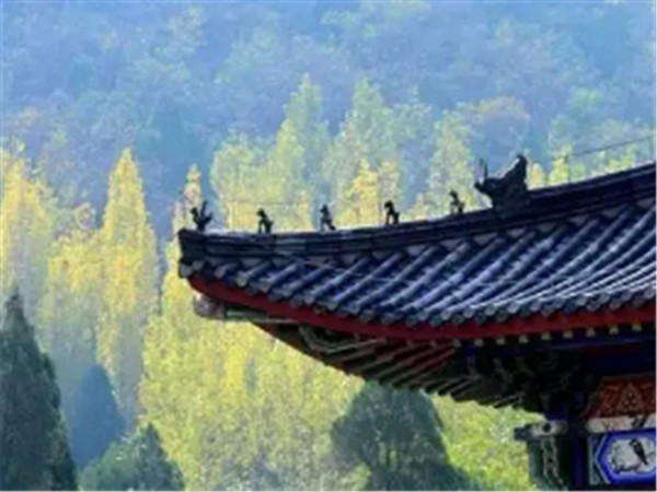 常怀敬畏之心，方能行有所止